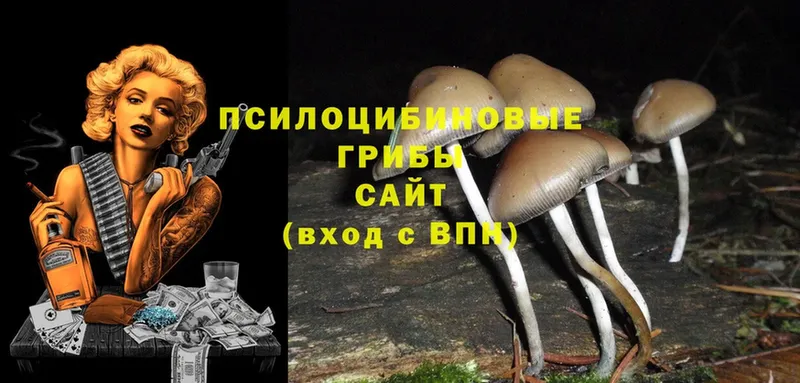 купить наркотики сайты  Воткинск  мега сайт  Псилоцибиновые грибы Psilocybe 